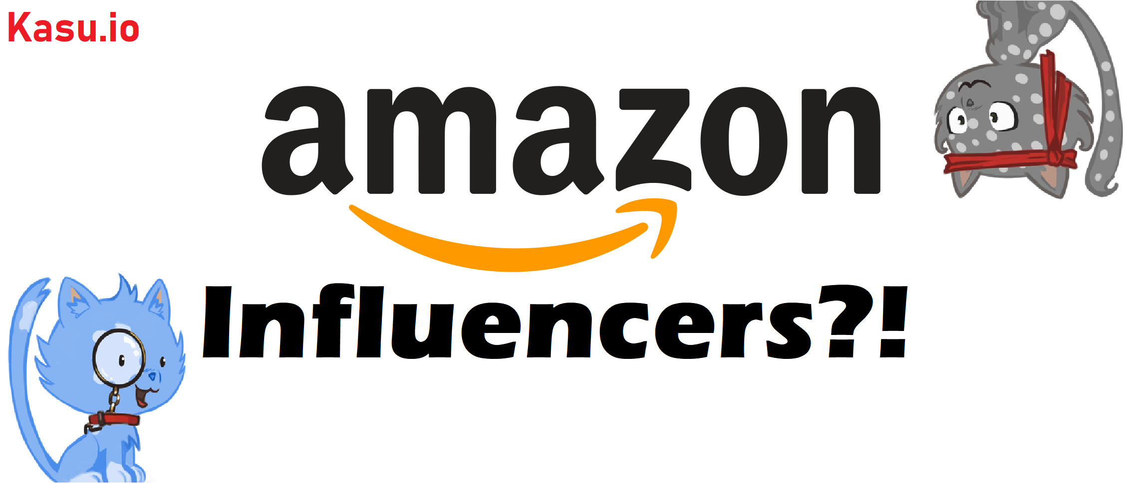 How much can Amazon Influencers make?