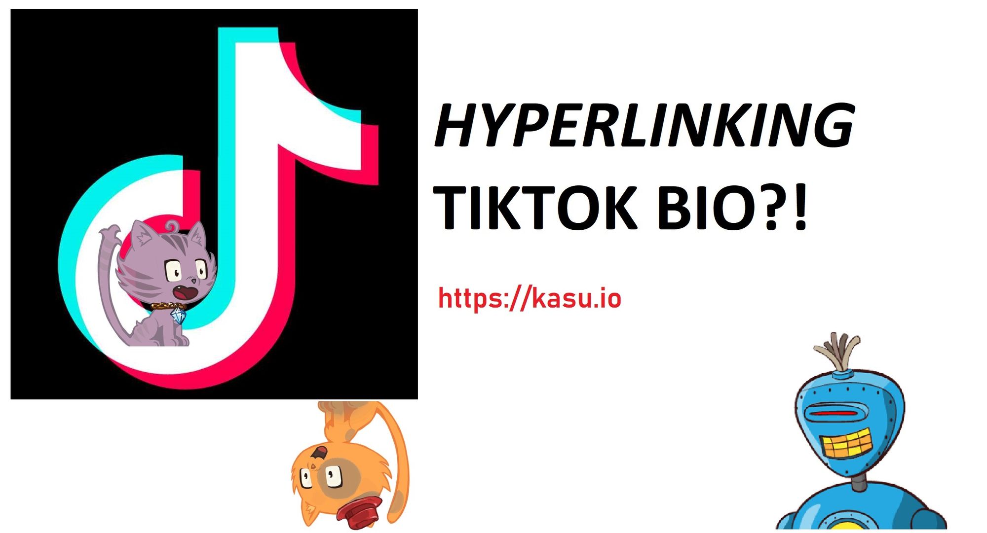 How to add hyperlink to your TikTok bio?