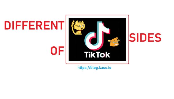 What are the different sides of TikTok?